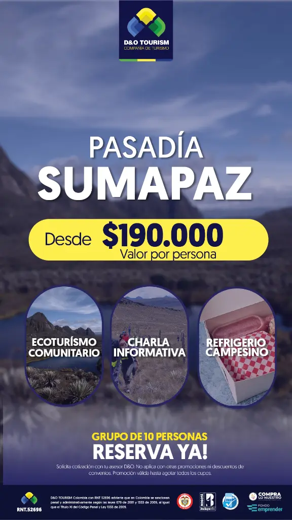 Mesa de trabajo 16-100.webp