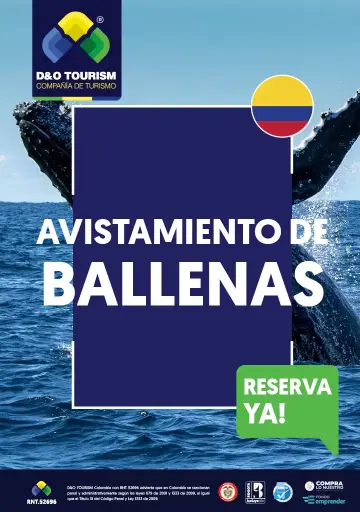 Avistamiento de Ballenas